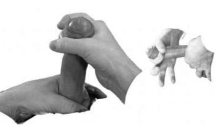 Барои баланд бардоштани он пӯшиши penis